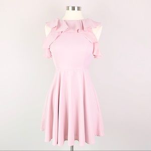 Ruffle Blush Pink Skater Dress